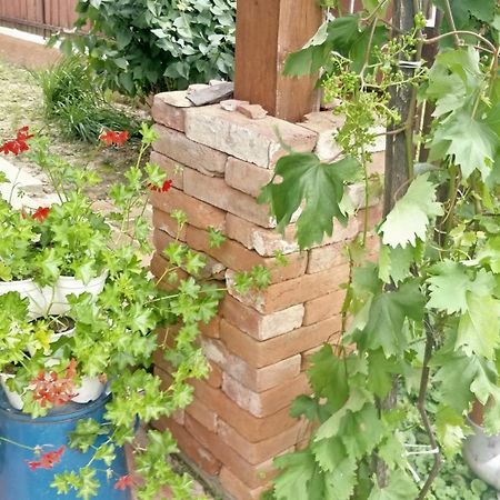 Öregház vendégház Lakhegy Esterno foto