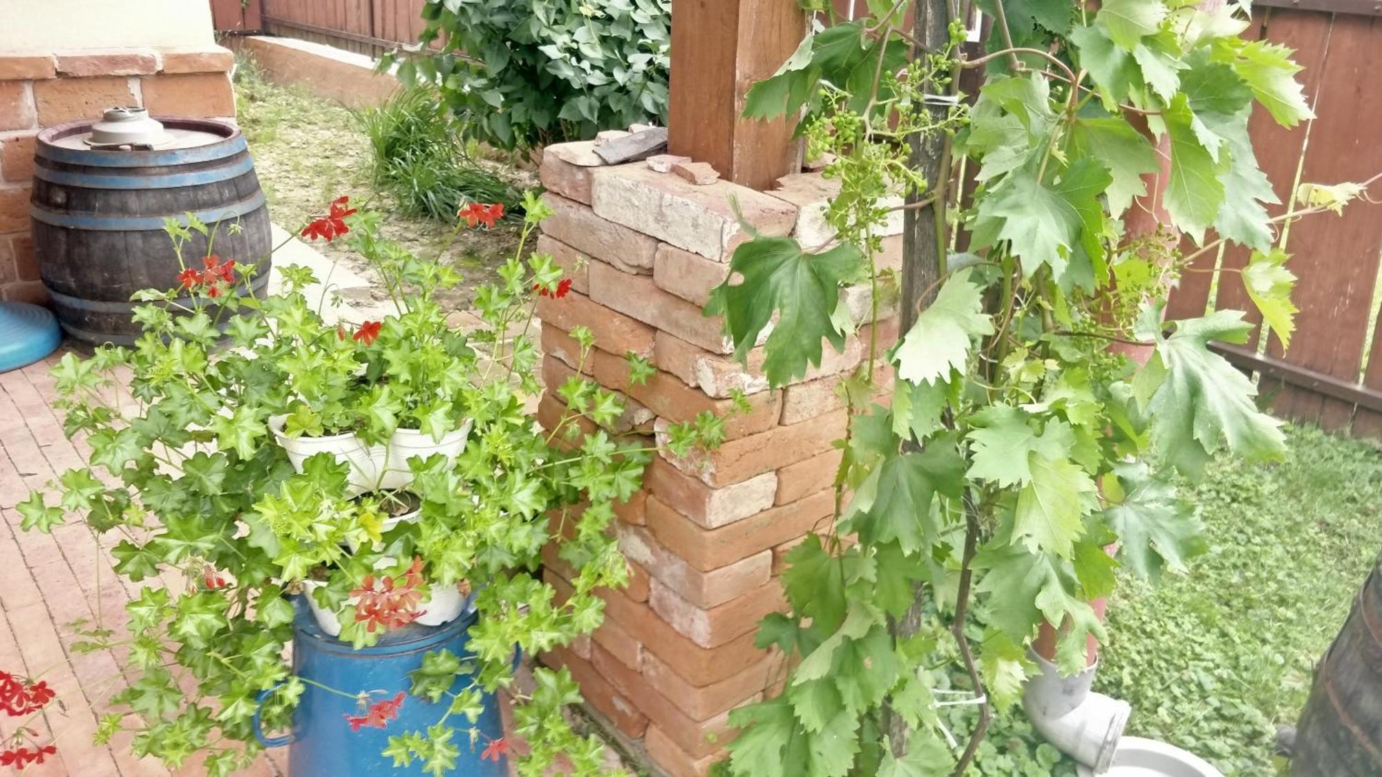 Öregház vendégház Lakhegy Esterno foto