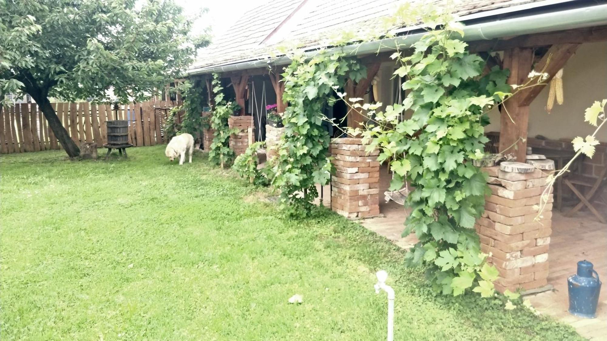 Öregház vendégház Lakhegy Esterno foto